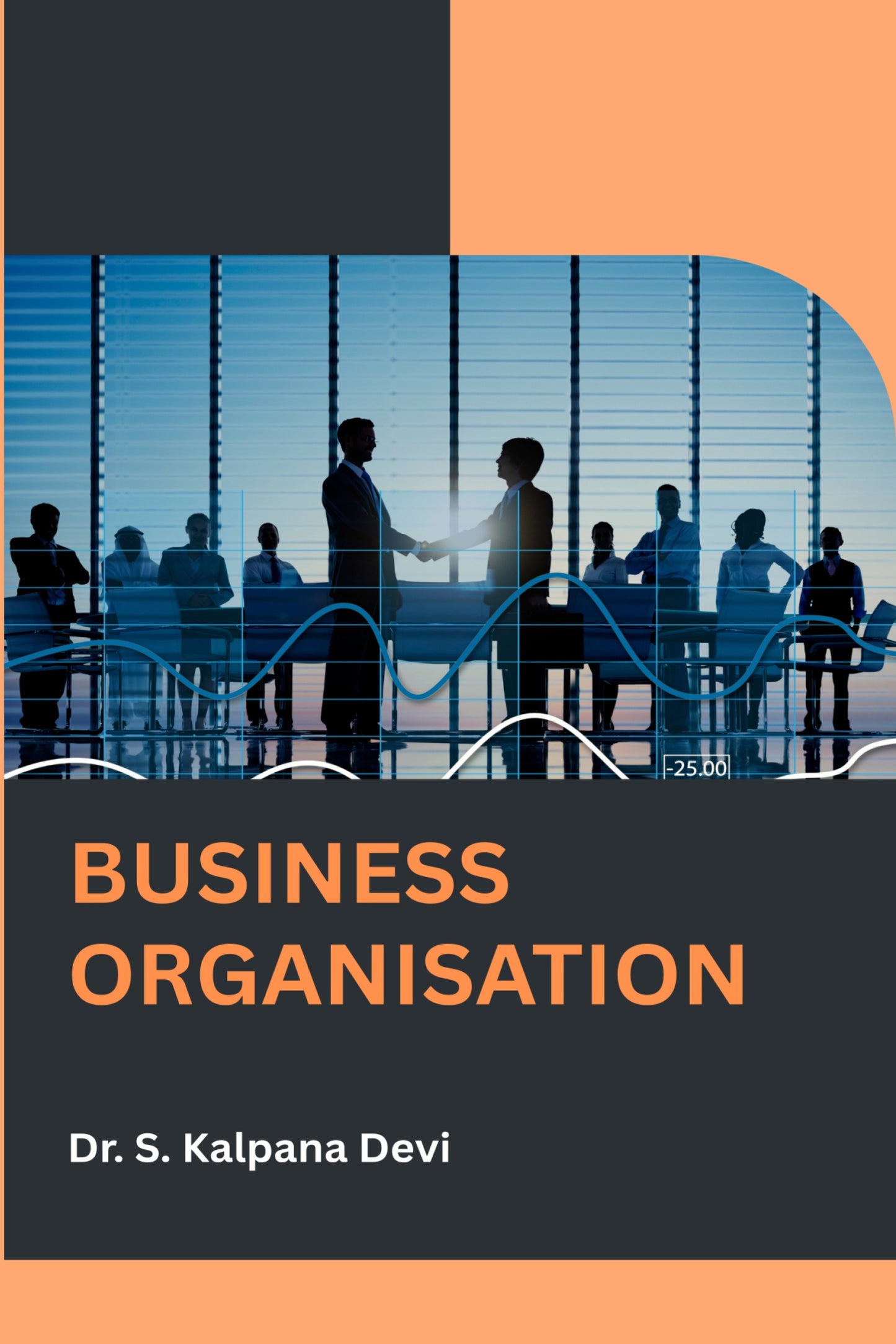 BUSINESS ORGANISATION