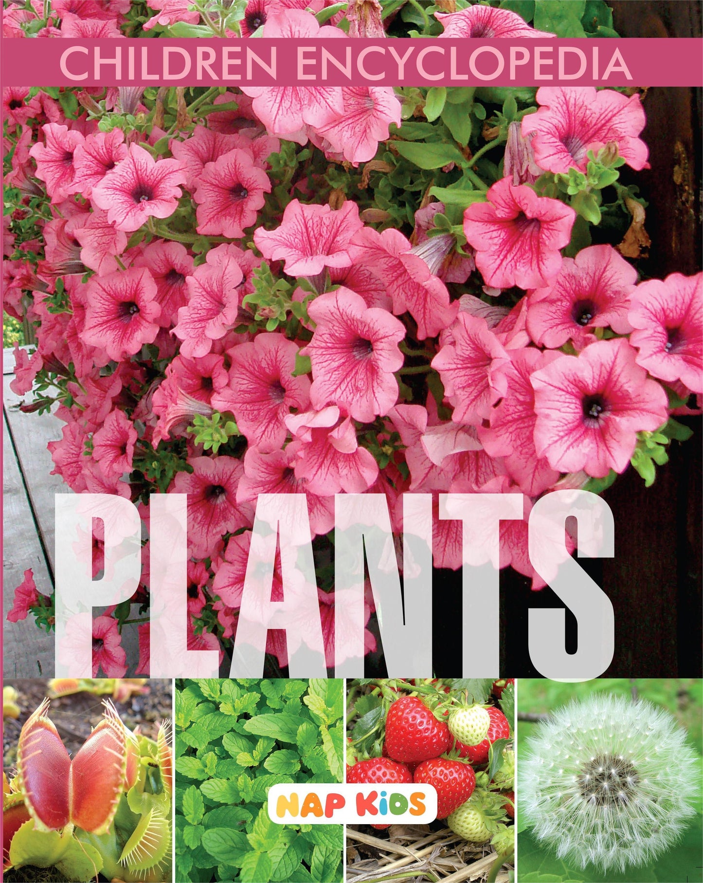 CHILDREN ENCYCLOPEDIA - PLANTS